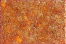 Light Amber Mica Shade