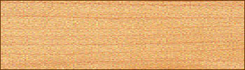 Maple Wood